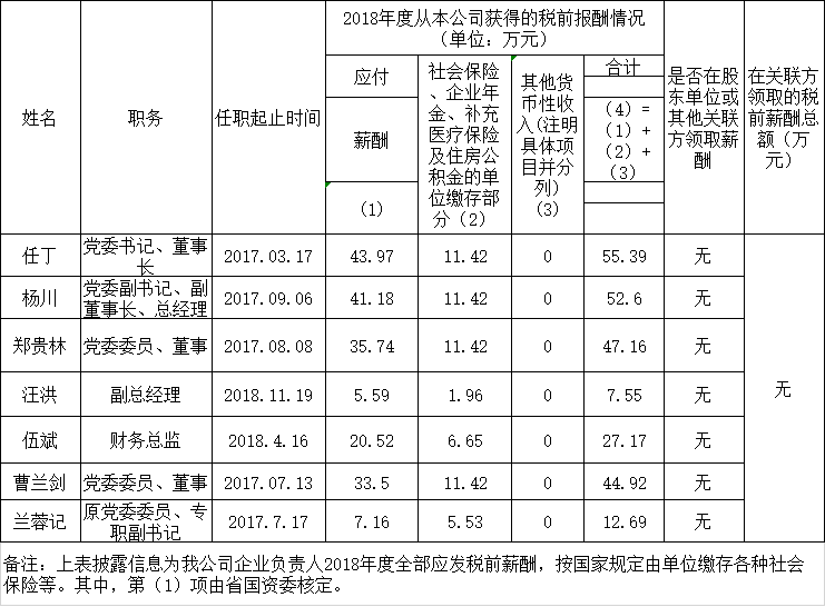 四川省尊龙集团有限责任公司负责人2018年度薪酬情况
