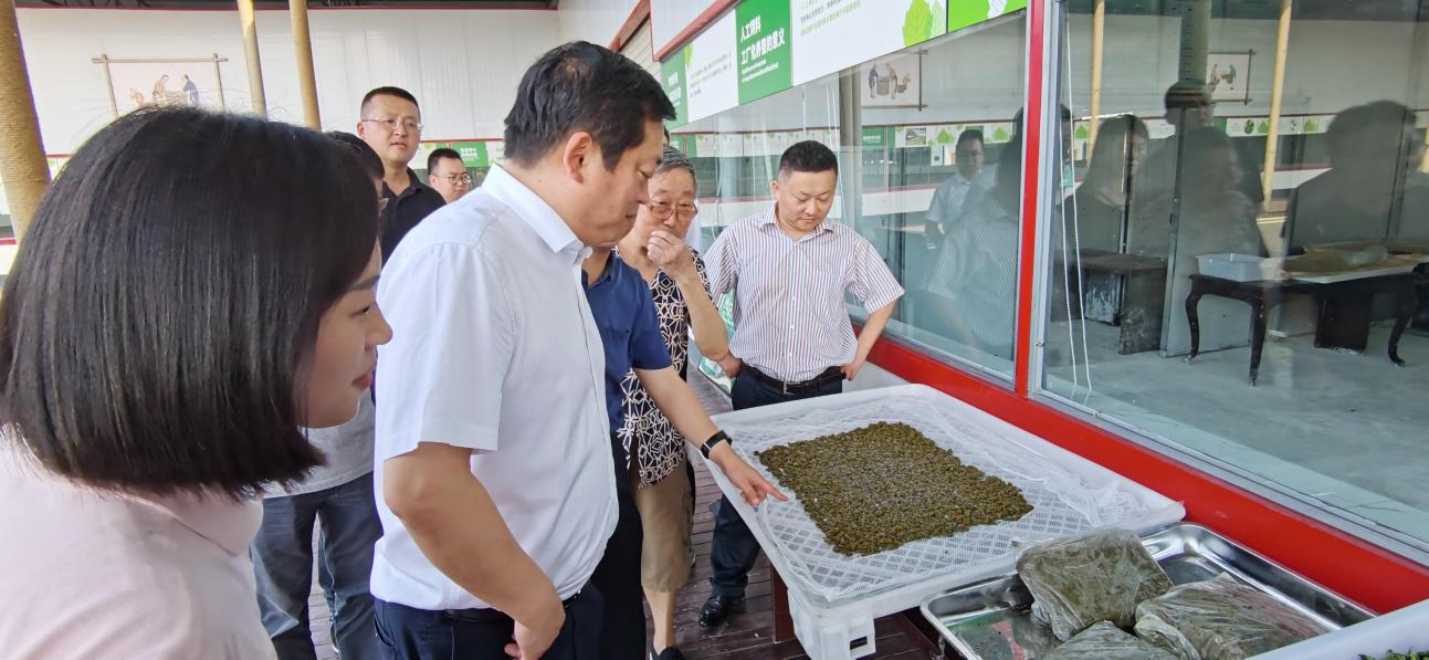 省尊龙凯时集团党委副书记、董事陈日赴嘉陵区调研茶桑产业发展情况
